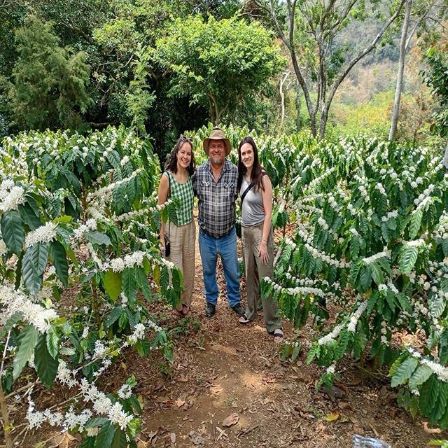 Coffee Tour
